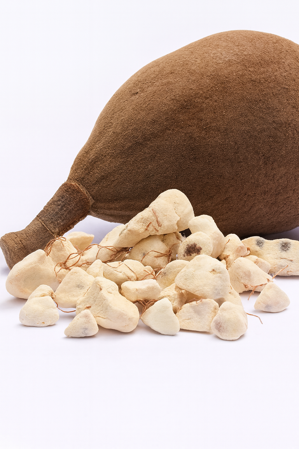 Baobab (Tree of Life)